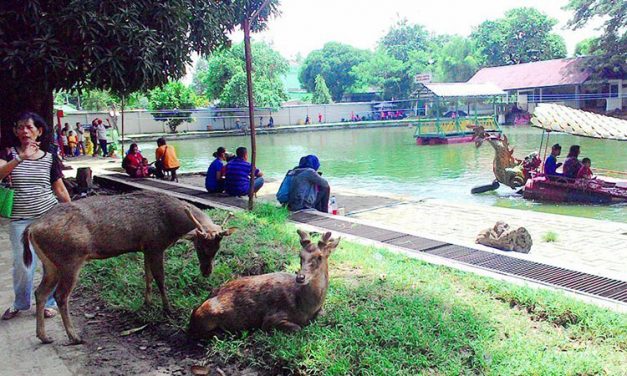 Taman Balekambang Solo: Alternatif Wisata Keluarga dan Olahraga masa Pandemi