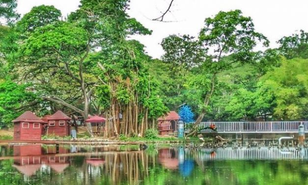 Jurug Solo Zoo: Wisata Edukatif Keluarga masa Pandemi
