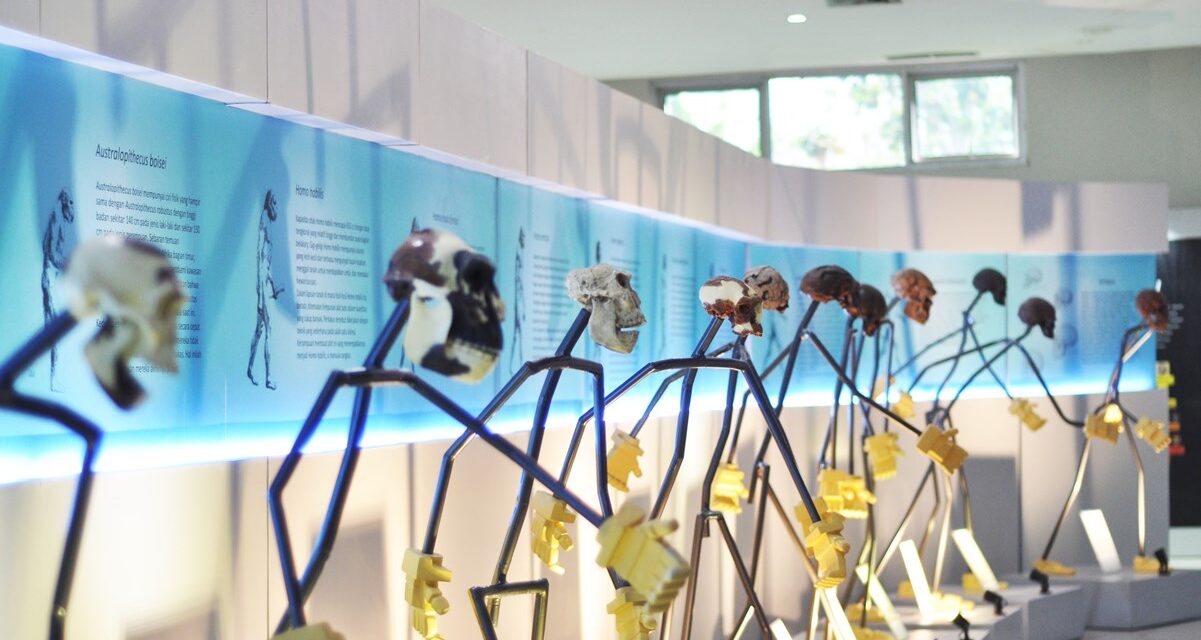 Rute Primadona Keluarga Awal Tahun : Habis Sangiran Lanjut ke Surakarta