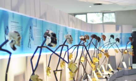 Rute Primadona Keluarga Awal Tahun : Habis Sangiran Lanjut ke Surakarta