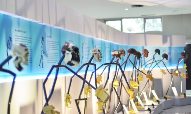 Rute Primadona Keluarga Awal Tahun : Habis Sangiran Lanjut ke Surakarta